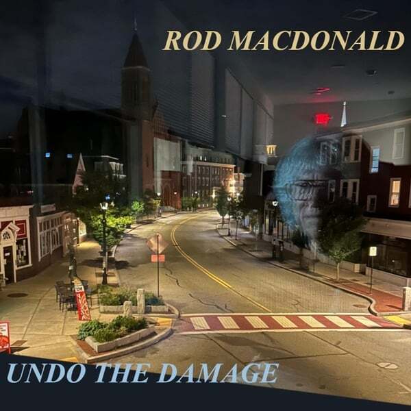 Cover art for Undo the Damage